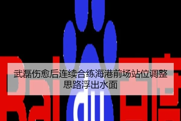 武磊伤愈后连续合练海港前场站位调整思路浮出水面