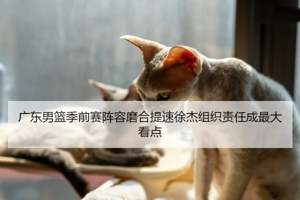广东男篮季前赛阵容磨合提速徐杰组织责任成最大看点