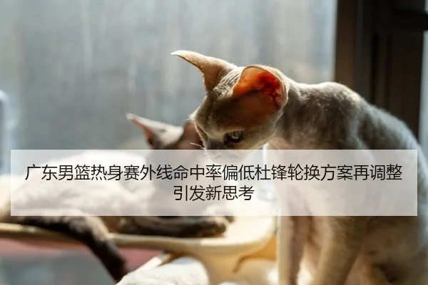 广东男篮热身赛外线命中率偏低杜锋轮换方案再调整引发新思考